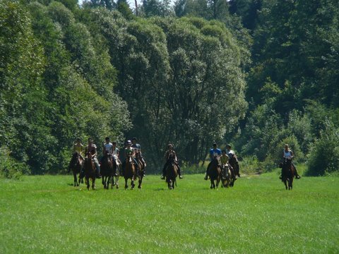 galop